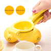 Manuell Citruspress i Aluminium - CitrusPress