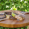 Hundhalsband med Gyldene Detaljer – GoldenTerra