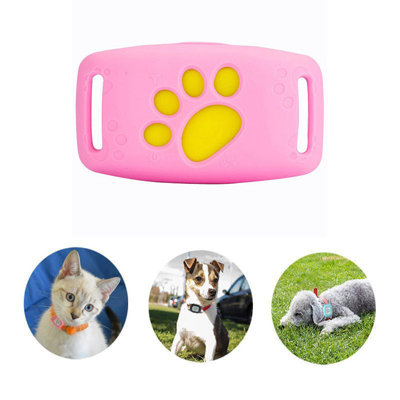 Intelligent GPS-halsband för katter och små hundar – PawTrack
