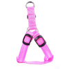Hundsele med LED - Glow&Go