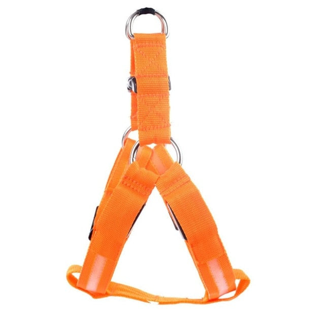 Hundsele med LED - Glow&Go