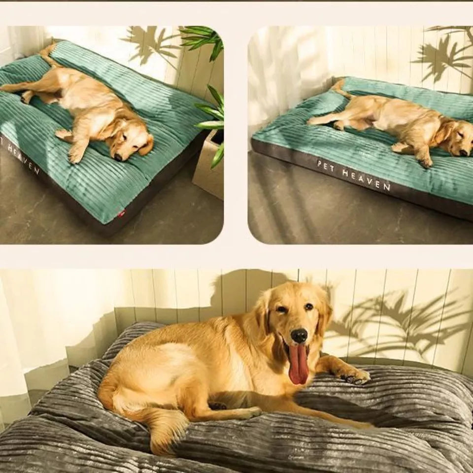 PawHaven Plush Hundsäng | Ultra-Mjuk, Maskintvättbar Djurkomfortsäng