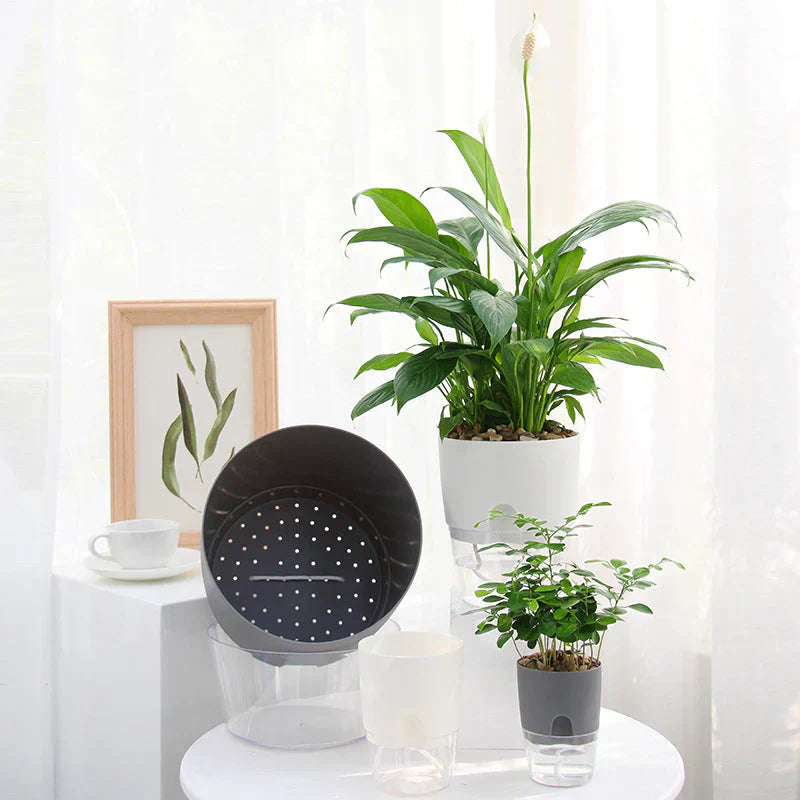 Självvattnande Blomkruka – AquaBloom