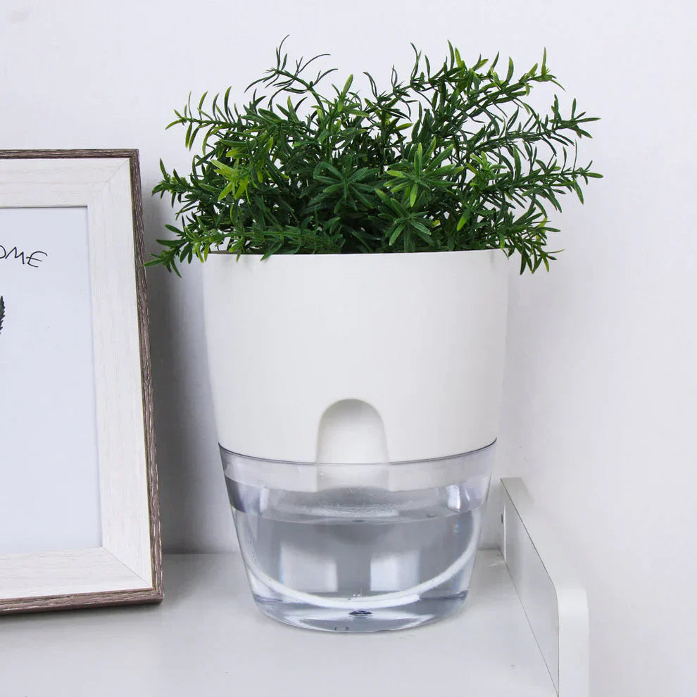Självvattnande Blomkruka – AquaBloom
