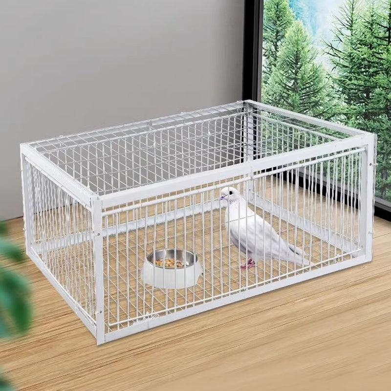 Mild Fångstfälla med Anti-Återvänds Mekanism – BirdSafe Fälla