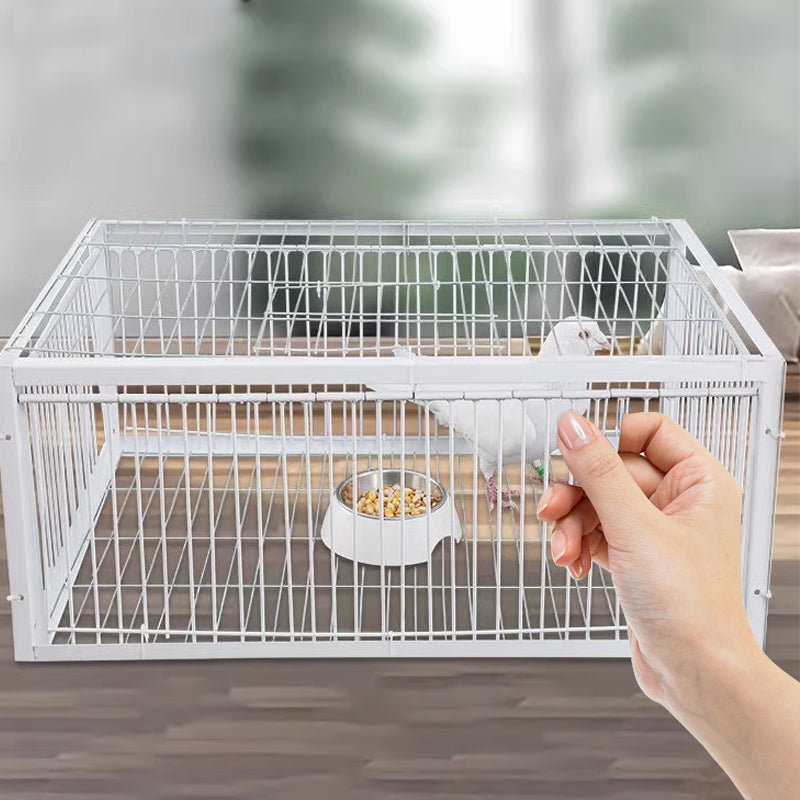 Mild Fångstfälla med Anti-Återvänds Mekanism – BirdSafe Fälla