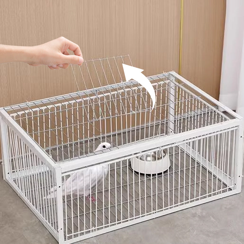 Mild Fångstfälla med Anti-Återvänds Mekanism – BirdSafe Fälla