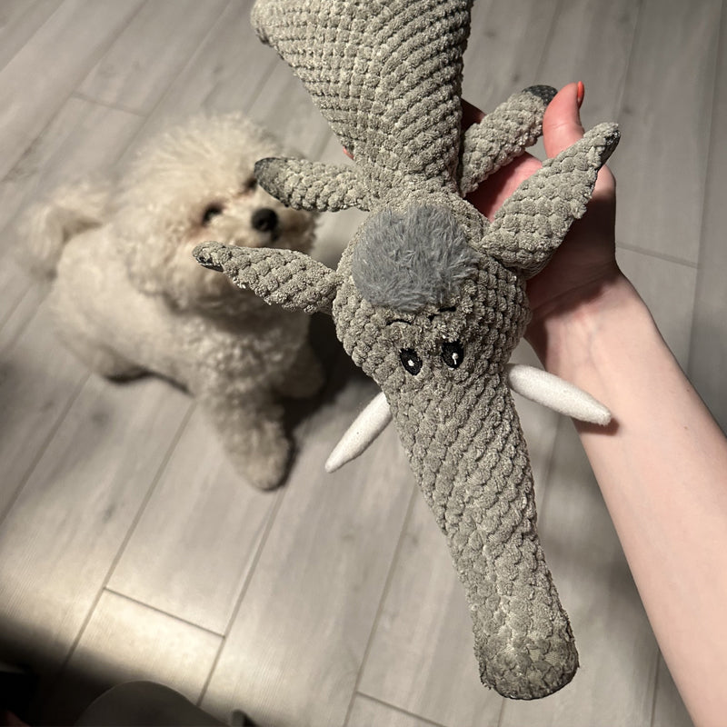 Oemotståndligt Hundleksak - Långvarigt Tuggande Nöje