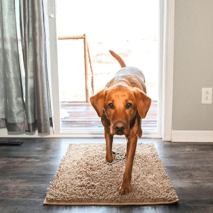 Superabsorberande hundmatta – PawMat