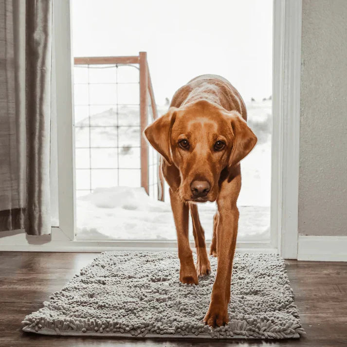 Superabsorberande hundmatta – PawMat