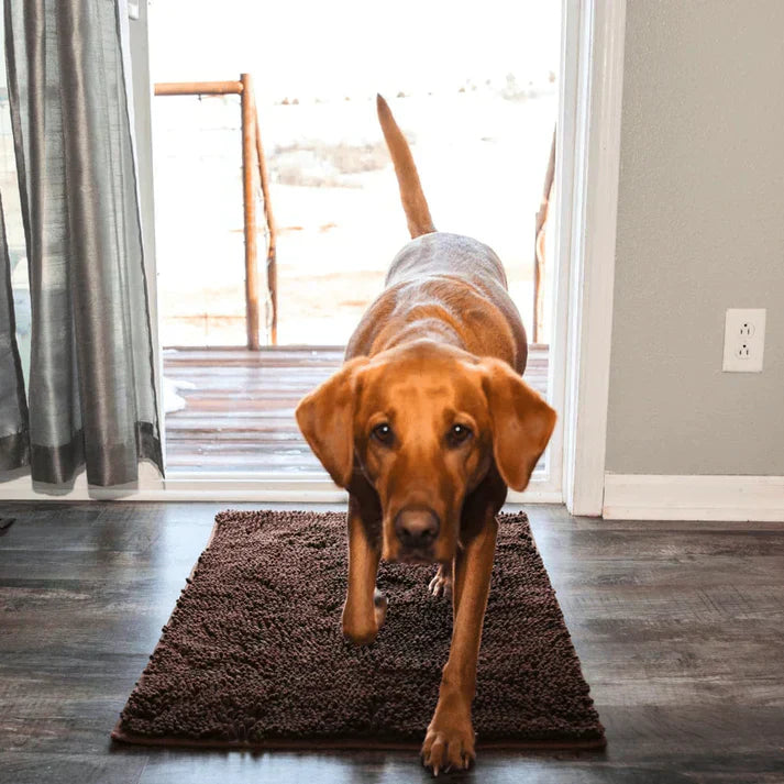 Superabsorberande hundmatta – PawMat