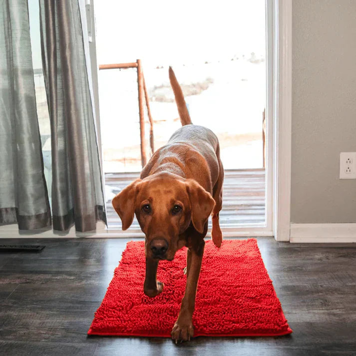 Superabsorberande hundmatta – PawMat