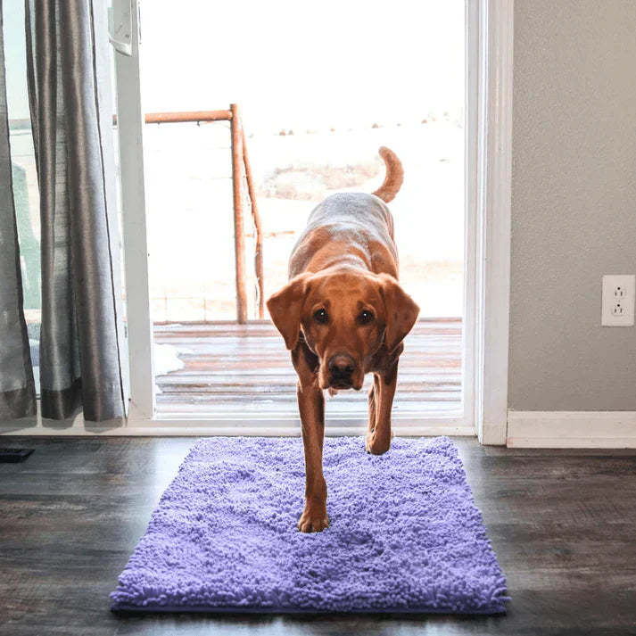 Superabsorberande hundmatta – PawMat