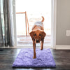 Superabsorberande hundmatta – PawMat