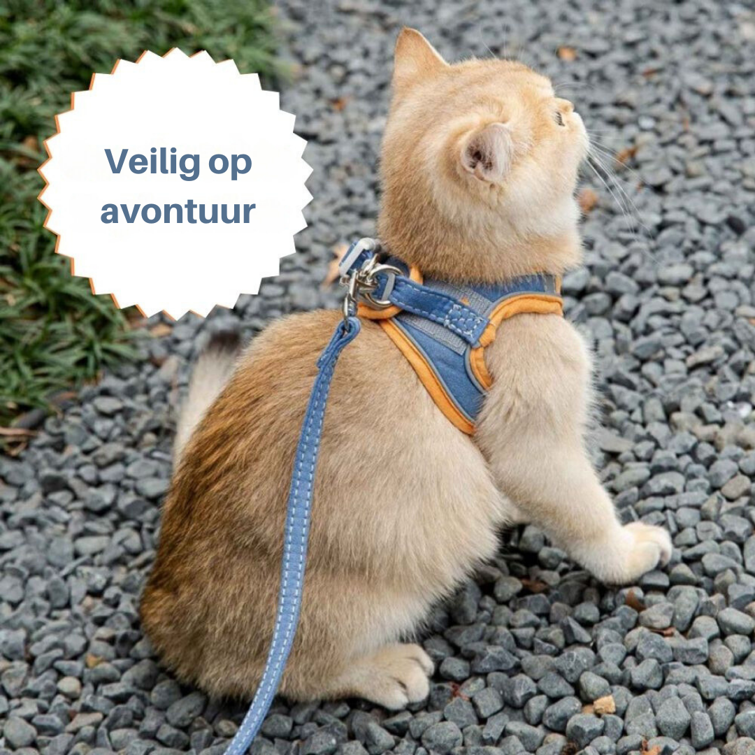 Kattsele Oscar - Säker och Bekväm | Justerbara Storlekar